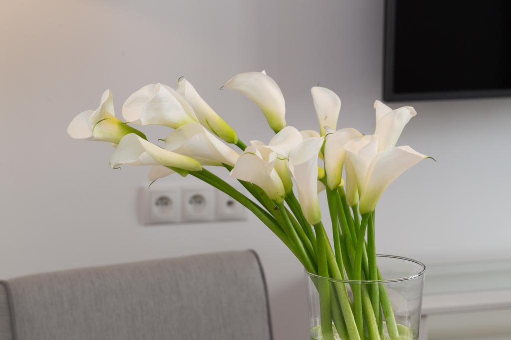 Hotel apartamentowy Avanti *